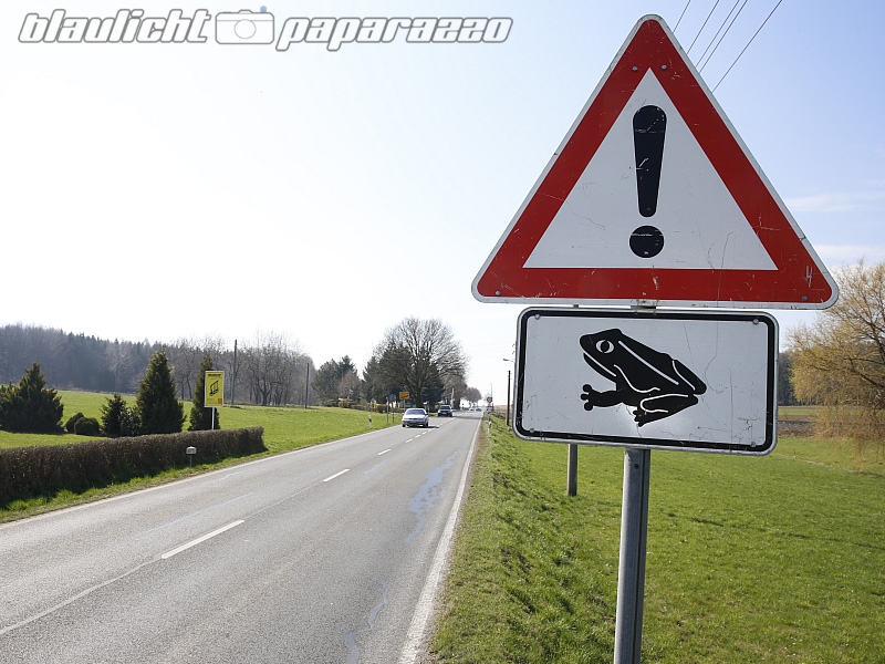 SYMBOLBILD_Froesche