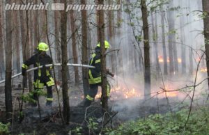 Waldbrand bei über 30 Grad