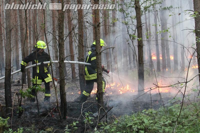 Waldbrand bei über 30 Grad