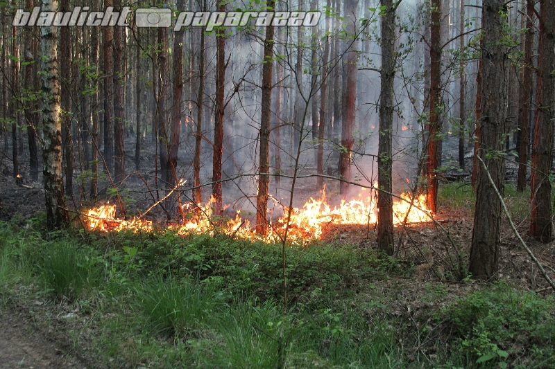 Waldbrand bei über 30 Grad
