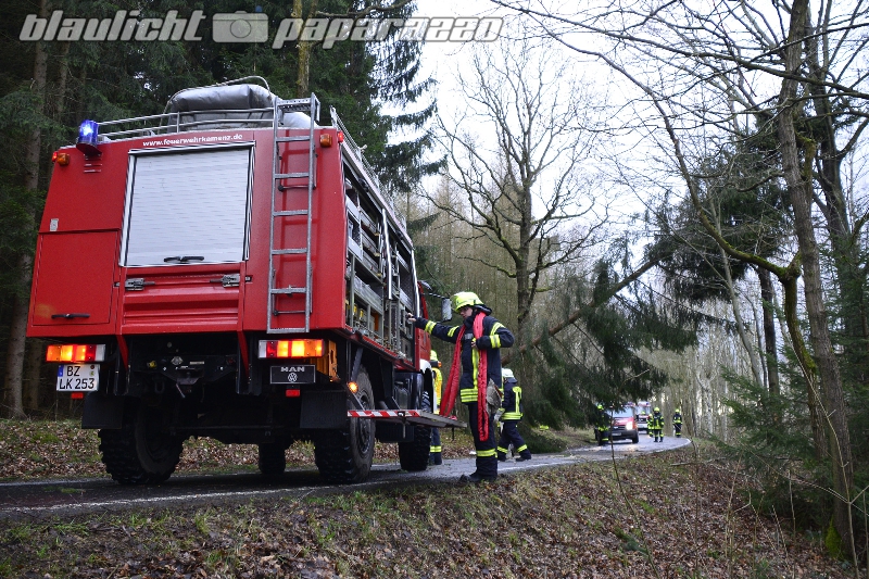 Hennersdorf - Bäume auf Straße