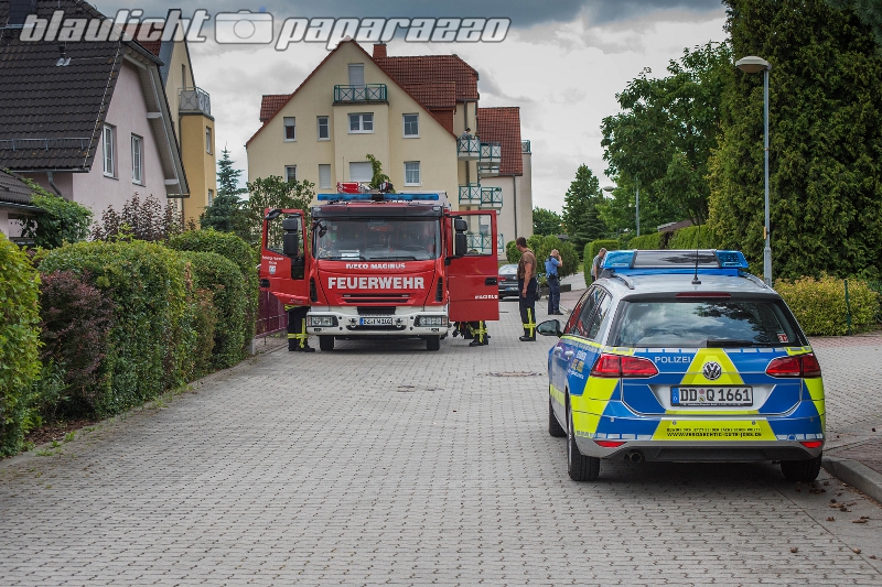 Hecke gerät in Brand