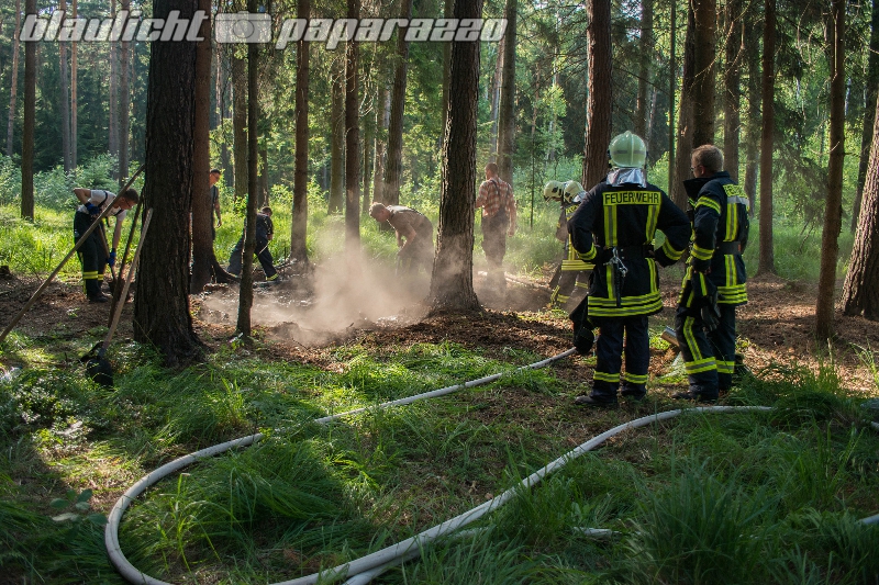 Waldbrand bei Radeberg