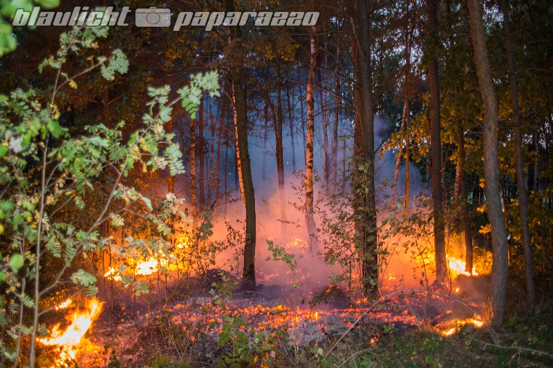 Wald steht lichterloh in Flammen