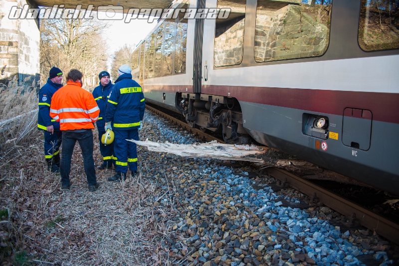 Zug rutscht nach Baumcrash aus den Gleisen.