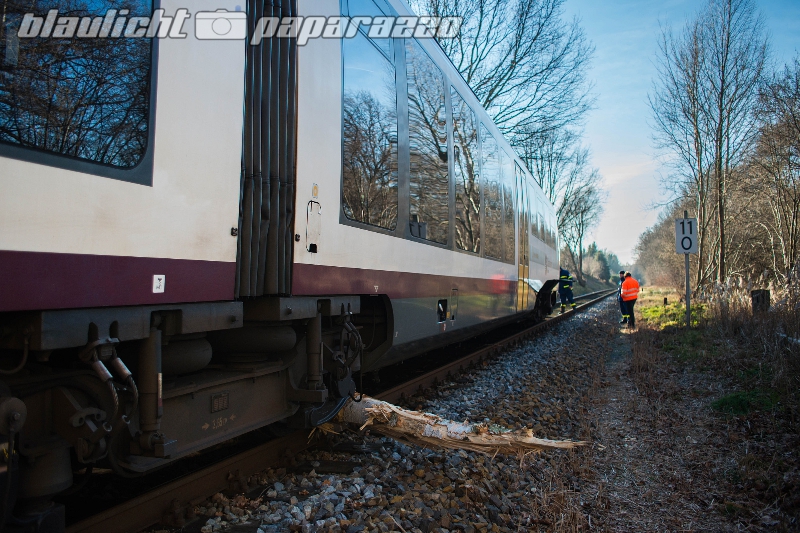 Zug rutscht nach Baumcrash aus den Gleisen.