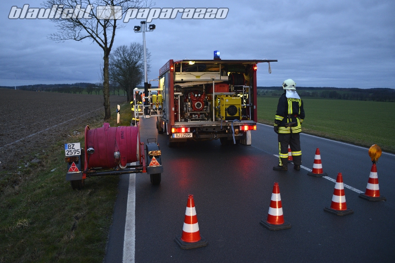 Reh löst Unfall aus