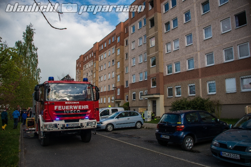 Brand-5435