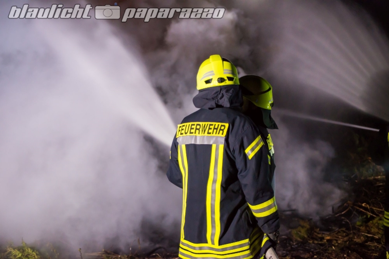 Brand-5531